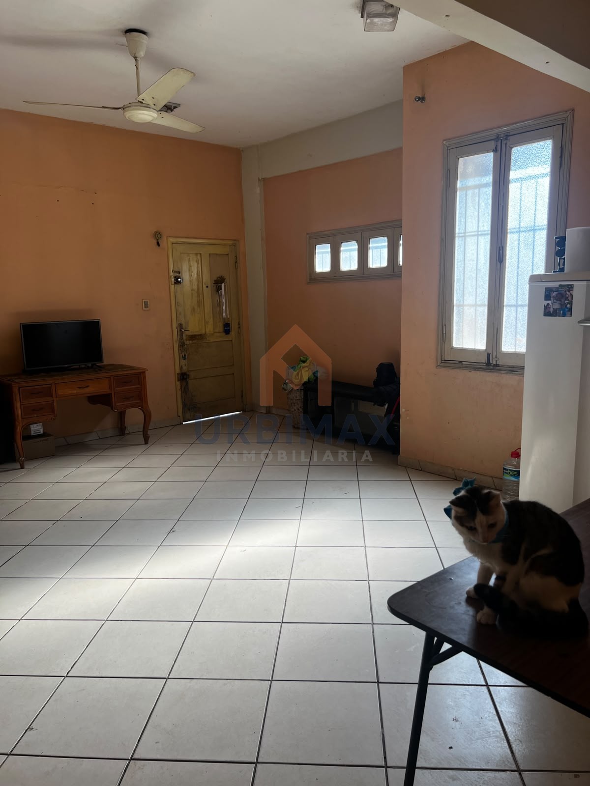 Vista 3 de Edificio con renta activa en Ciudad Nueva