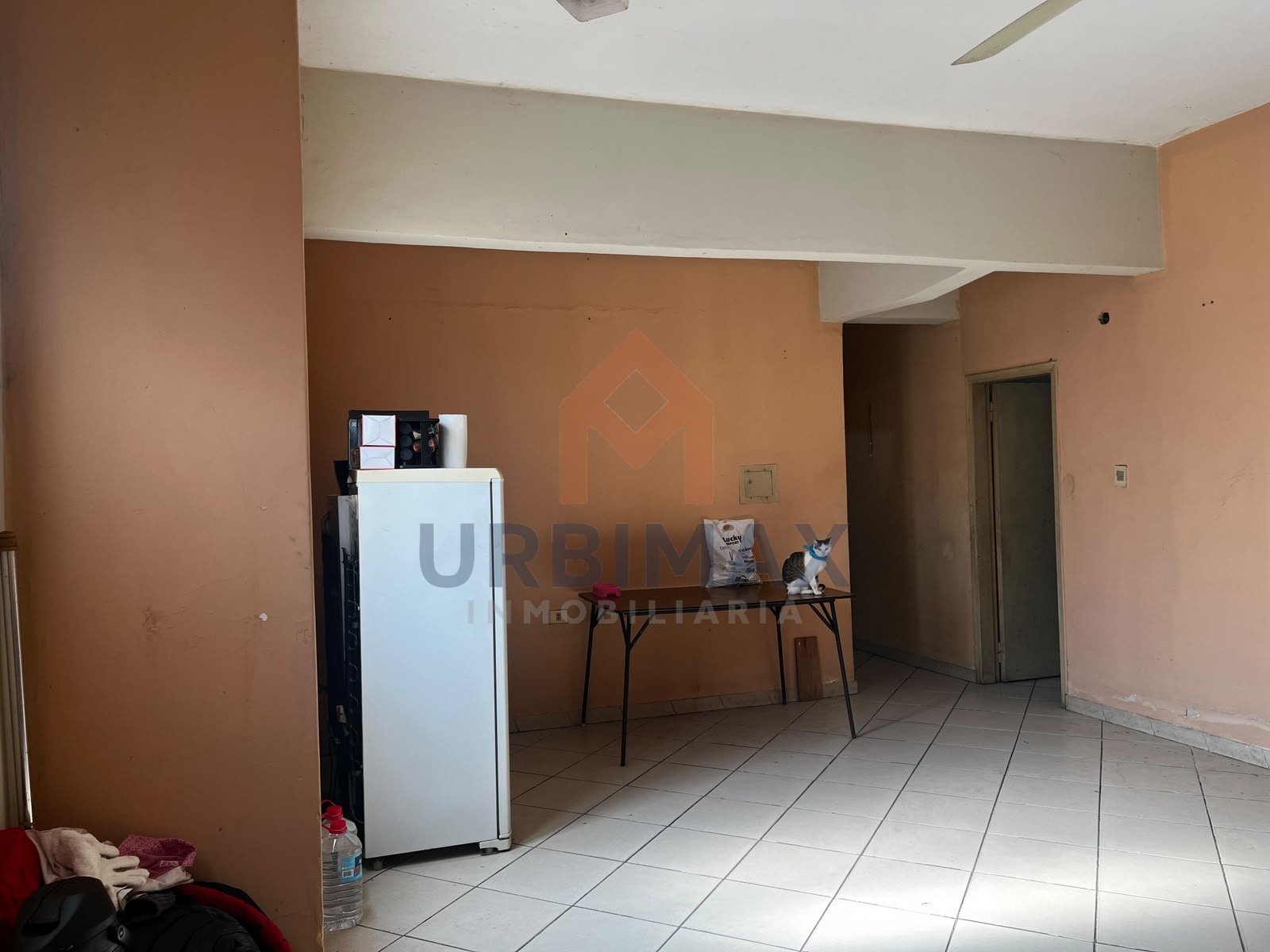 Vista 5 de Edificio con renta activa en Ciudad Nueva